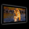 EluneVision - Fixed Frame Projection Screen, AudioWeave, Reference Studio 4K, 2.35:1 - - Mounts For Less