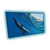 EluneVision - NanoEdge Projection Screen, Reference Studio 4K, 16:9 - - Mounts For Less