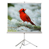 EluneVision - Portable Projection Screen on Tripod, Standard Definition Format 4:3 - - Mounts For Less