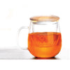 JS Gourmet - Glass Tea Cup with Infuser and Bamboo Lid, 500ml Capacity - - Mounts For Less