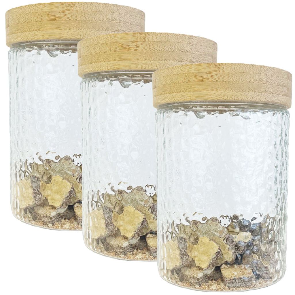 JS Gourmet - Set of 3 Embossed Glass Containers with Airtight Lid, 1300ml Capacity - - Mounts For Less