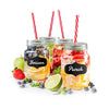 JS Gourmet - Set of 4 Mason Jar Glasses, Lid and Straw Included - - Mounts For Less