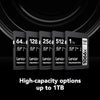 Lexar - SDXC UHS-I 1066 x Professional Silver Series Card, Up to 160 MB/s Reading, 128GB Capacity - - Mounts For Less