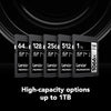 Lexar - SDXC UHS-I 1066 x Professional Silver Series Card, Up to 160 MB/s Reading, 1TB Capacity - - Mounts For Less