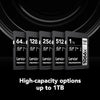 Lexar - SDXC UHS-I 1066 x Professional Silver Series Card, Up to 160 MB/s Reading, 256GB Capacity - - Mounts For Less