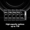 Lexar - SDXC UHS-I 1066 x Professional Silver Series Card, Up to 160 MB/s Reading, 512GB Capacity - - Mounts For Less