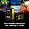 Lexar - SDXC UHS-II 2000X Professional Card, Up to 300 MB/s Reading, 256GB Capacity - - Mounts For Less