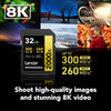 Lexar - SDXC UHS-II 2000X Professional Card, Up to 300 MB/s Reading, 32GB Capacity - - Mounts For Less