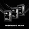 Lexar - SDXC UHS-II/U3 1667X Professional Card, Up to 250 MB/s Reading, 128GB Capacity - - Mounts For Less