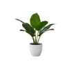 Monarch Specialties I 9502 - Artificial Plant, 17" Tall, Aureum, Indoor, Faux, Fake, Table, Greenery, Potted, Real Touch, Decorative, Green Leaves, White Pot - - Mounts For Less