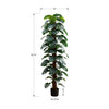 Monarch Specialties I 9521 - Artificial Plant, 83" Tall, Monstera Tree, Floor, Indoor, Decorative, Green Leaves, Black Pot" - - Mounts For Less