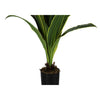 Monarch Specialties I 9542 - Artificial Plant, 47" Tall, Dracaena Tree, Indoor, Faux, Fake, Floor, Greenery, Potted, Real Touch, Decorative, Green Leaves, Black Pot - - Mounts For Less