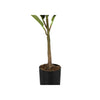 Monarch Specialties I 9547 - Artificial Plant, 40" Tall, Rubber Tree, Indoor, Faux, Fake, Floor, Greenery, Potted, Real Touch, Decorative, Green Leaves, Black Pot - - Mounts For Less