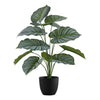 Monarch Specialties I 9577 - Artificial Plant, 24" Tall, Calathea, Indoor, Faux, Fake, Table, Greenery, Potted, Real Touch, Decorative, Green Leaves, Black Pot - - Mounts For Less