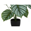 Monarch Specialties I 9577 - Artificial Plant, 24" Tall, Calathea, Indoor, Faux, Fake, Table, Greenery, Potted, Real Touch, Decorative, Green Leaves, Black Pot - - Mounts For Less