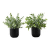 Monarch Specialties I 9580 - Artificial Plant, 11" Tall, Eucalyptus Grass, Indoor, Faux, Fake, Table, Greenery, Potted, Set Of 2, Decorative, Green Leaves, Black Pots - - Mounts For Less