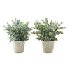 Monarch Specialties I 9581 - Artificial Plant, 13" Tall, Eucalyptus Grass, Indoor, Faux, Fake, Table, Greenery, Potted, Set Of 2, Decorative, Green Leaves, White Pots - - Mounts For Less