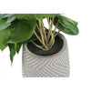 Monarch Specialties I 9582 - Artificial Plant, 8" Tall, Alocasia, Indoor, Faux, Fake, Table, Greenery, Potted, Set Of 2, Decorative, Green Leaves, White Cement Pots - - Mounts For Less