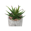 Monarch Specialties I 9586 - Artificial Plant, 6" Tall, Succulent, Indoor, Faux, Fake, Table, Greenery, Potted, Set Of 2, Decorative, Green Leaves, Grey Cement Pots - - Mounts For Less