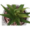 Monarch Specialties I 9586 - Artificial Plant, 6" Tall, Succulent, Indoor, Faux, Fake, Table, Greenery, Potted, Set Of 2, Decorative, Green Leaves, Grey Cement Pots - - Mounts For Less