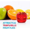 Raid - Set of 2 Fruit Fly Traps, 120 Day Supply, Insecticide Free - - Mounts For Less