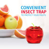Raid - Set of 2 Fruit Fly Traps, 120 Day Supply, Insecticide Free - - Mounts For Less