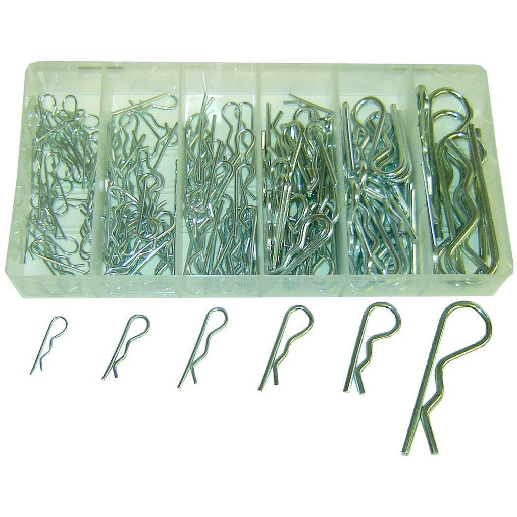 Rodac - Hair Pin Assortment-150 Pieces - - Mounts For Less