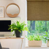 Versailles - Cordless Roller Shade, Marcellus Collection, Soft Close, Brown (Available in 15 Sizes) - - Mounts For Less