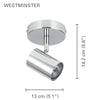 Xtricity - 1 Head Ceiling Light, 5.11 '' Width, From The Westminster Collection, Chrome - - Mounts For Less