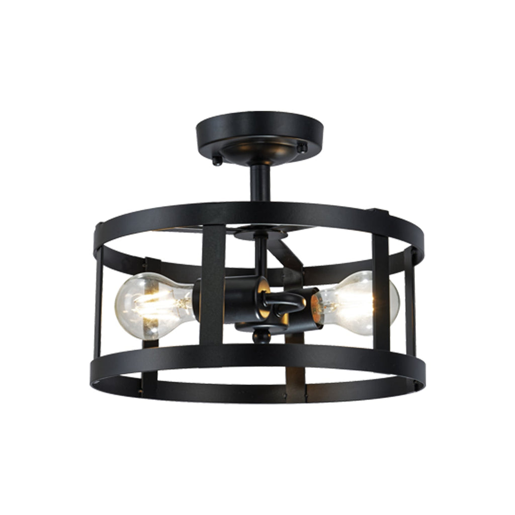 Xtricity - 2-Light Decorative Ceiling Light, 11.8" Width, From the Preston Collection, Black - - Mounts For Less