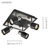 Xtricity - 4 Head Ceiling Light, 11.1'' Width, From the Jackson Collection, Brushed Nickel and Black - - Mounts For Less