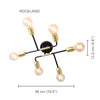 Xtricity - 6-Light Ceiling Light, 18.9'' Width, From the Rockland Collection, Black and Gold - - Mounts For Less
