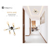 Xtricity - 6-Light Ceiling Light, 18.9'' Width, From the Rockland Collection, Black and Gold - - Mounts For Less