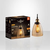 Xtricity - Amber Glass Pendant Light, LED Bulb Included, From the Old Fashioned Collection - - Mounts For Less