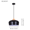 Xtricity - Pendant Light, 13.8 '' Width, From Belmont Collection, Black - - Mounts For Less