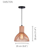 Xtricity - Pendant Light, 9.8 '' Width, From The Carlton Collection, Gold - - Mounts For Less