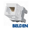 Belden AX101065 MDVO Connector Cat6 RJ-45 Punch Type 110 Female White - - Mounts For Less