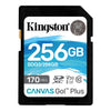 Kingston - Canvas Go Plus SD Memory Card, 256GB Capacity, Class 10, UHS-I, U3, V30 - - Mounts For Less