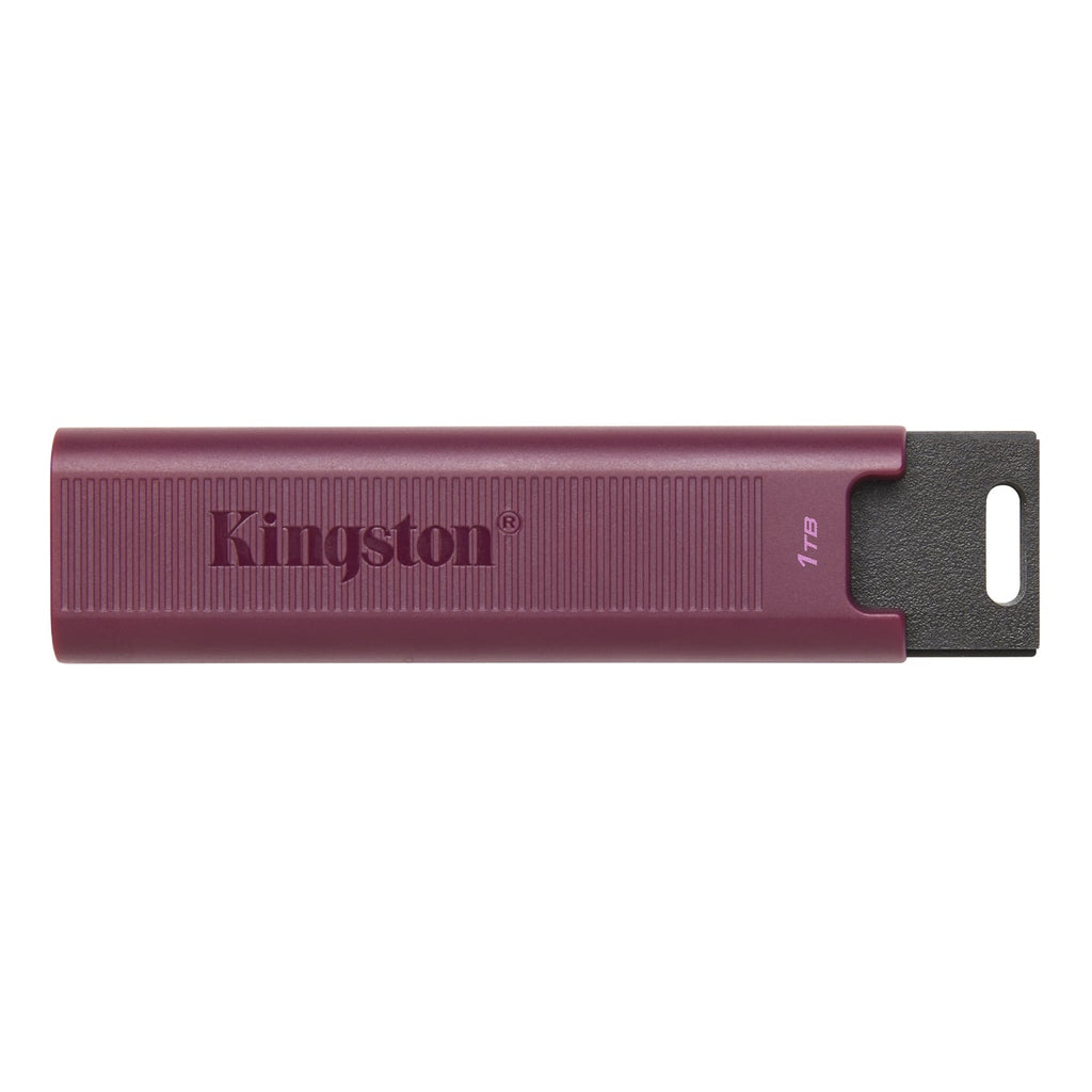 Kingston Technology - DataTraveler Max USB Type-A Flash Drive, USB 3.2 GEN 2, 1TB Capacity, Pink - - Mounts For Less