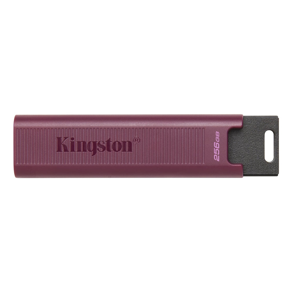 Kingston Technology - DataTraveler Max USB Type-A Flash Drive, USB 3.2 GEN 2, 256GB Capacity, Pink - - Mounts For Less