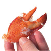 Starfrit - Shellfish Scissors, Detachable Stainless Steel Blades, Red - - Mounts For Less