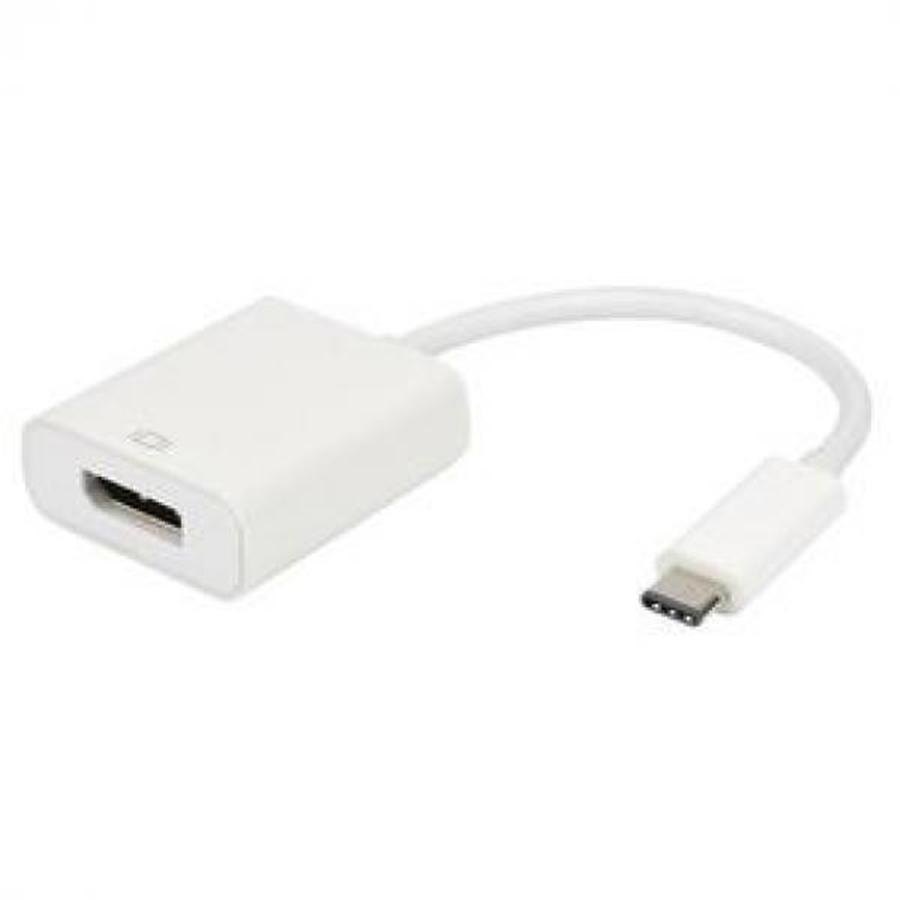 TechCraft AUSB3C-DPF USB Adapter 3.1 Type-C Male to DisplayPort Female, White - - Mounts For Less