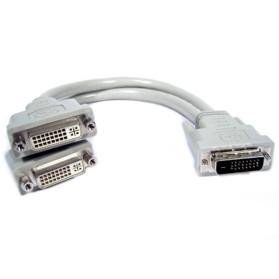 TechCraft DVI-D Splitter 1x Male to 2x Female 1 ft - - Mounts For Less