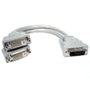 TechCraft DVI-D Splitter 1x Male to 2x Female 1 ft - - Mounts For Less