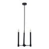 Xtricity - 3 Light Pendant, 13'' Width, From the Toscana Collection, Black - - Mounts For Less