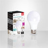 Xtricity - LED Bulb 3 Intensity Switch, 9W, E26 Base, 5000K Daylight - - Mounts For Less