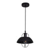 Xtricity - Pendant Light, 9.05 '' Width, From the Clifton Collection, Black - - Mounts For Less