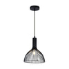Xtricity - Pendant Light, 9.8 '' Wide, From The Carlton Collection, Black - - Mounts For Less