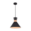Xtricity - Pendant Light, Width 12.9 '', From the Foster Collection, Black - - Mounts For Less
