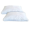 Cotton House - Set of Two Pillows, Microfiber Gel, 100% Egyptian Cotton Cover, King Size, Made in Canada - - Mounts For Less